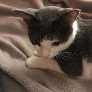 Meet your Posher, Brittney